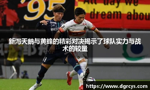 新泻天鹅与黄蜂的精彩对决揭示了球队实力与战术的较量